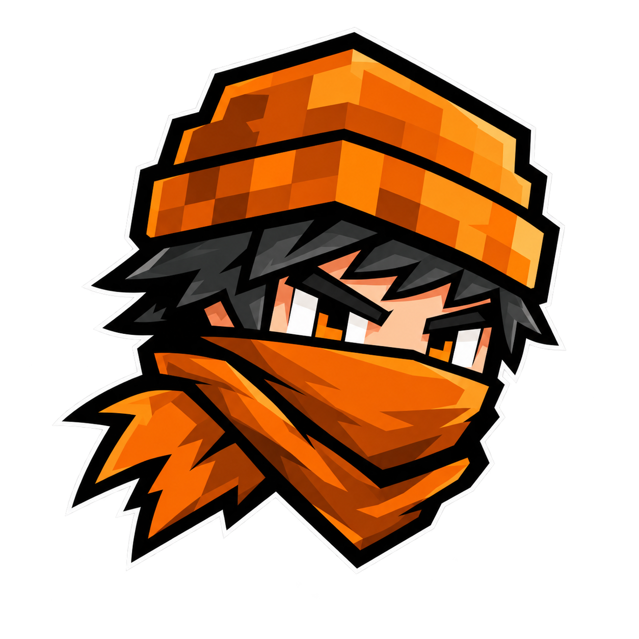 FirariSMP Minecraft Türkiye sunucu logosu